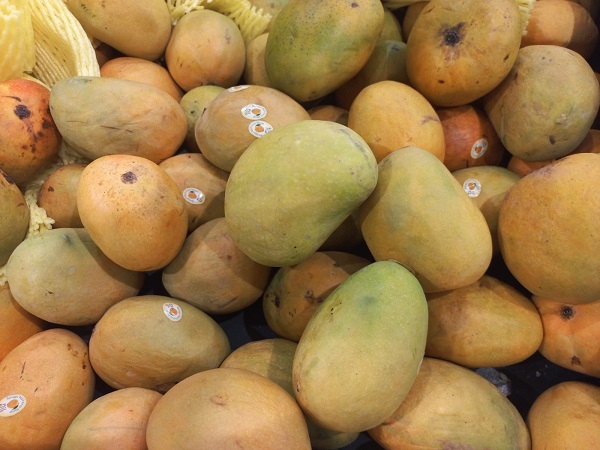 Hapus Mango (Alphonso)